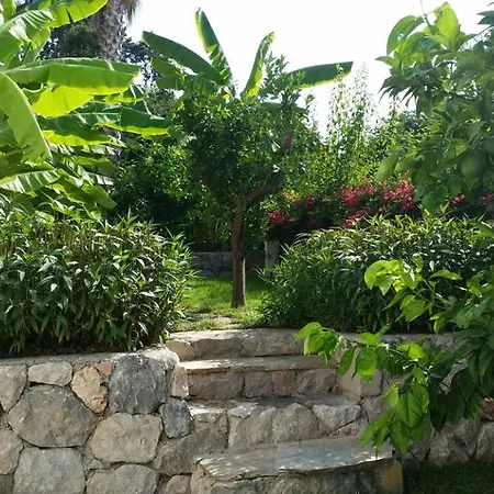 Merap Kemer